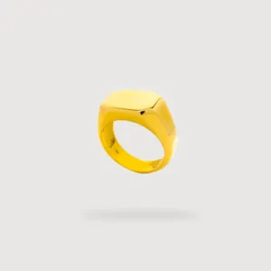 Octagon Signet Ring in Solid Gold